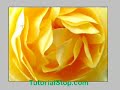 Adobe Photoshop Clipping Mask Part 2