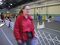 JDD Pawzest at RTH Flyball tournament
