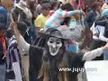 CARNAVAL JUJE�O 2008