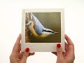 RSPB - Sound Card - Nuthatch-1