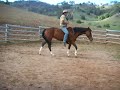 Another lesson in Natural Horsemanship
