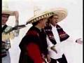 Fernando Correira Marques - O Burrito