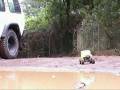 videos de TOYOTA RC LAND CRUISER MUDDING TAMIYA 1/10