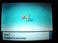 Interlude: Evolving Roselia