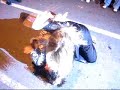 halloween catfight