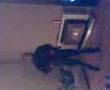 videos de waz
