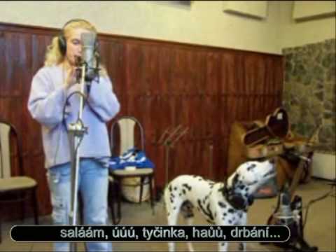Video Bard
