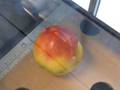 Apple Branding