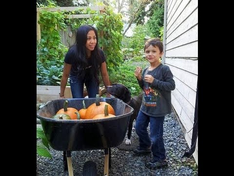 how to store pumpkins after harvest