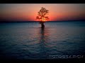 LES TROIS CLOCHES - Edith Piaf  Les compagnons de la Chanson