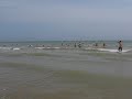 Göta Lejon in Lido de Jesolo