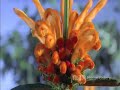 BBC motion gallery with DJ Johan Gielen - Revelations