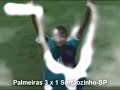 palmeiras campeão paulista! todos os gols do paulistão 2008