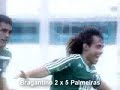 palmeiras campeão paulista! todos os gols do paulistão 2008