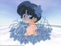 Hinageshi Poppy Flower-FULL