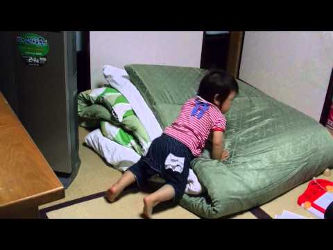 動画