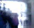 manifestation