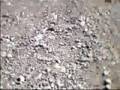 MEGA AVALANCHE PART 2