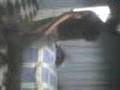 videos de madriza al cristian 3ra parte
