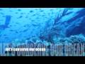 Molamola and Manta Mission 2008 PUBLIC version