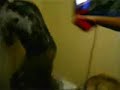 Hombre toma trago en llamas y se quema el cuello