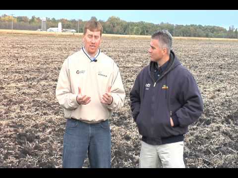 how to fertilize properly