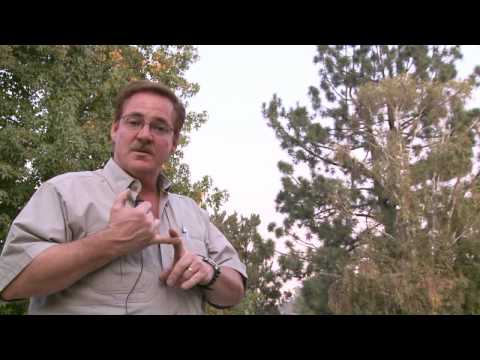 how to measure ring size ehow