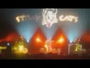 Stray Cats - Seven Nights to Rock Stray Cats - Seven Nights to Rock