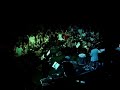 a casa noturna fundi��o progresso, localizada no bairro da lapa, no rio de janeiro, promoveu no dia 18 de agosto mais uma edi��o da festa fundi��o rio.
o evento foi comandado por leandro sapucahy, que promoveu uma aut�ntica roda de samba e recebeu como convidado especial o compositor arlindo cruz.