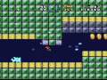 SMW-REX-9-a-beach-is