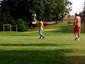 videos de al parco