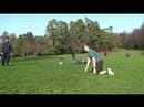 Parc Training