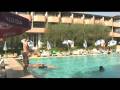 videos de Hotel Palme Royale