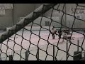 Hockey Cage Dent