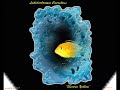 Cichlid Art Cichlid Art