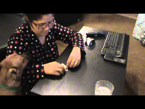 how to make a money tree