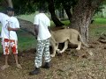 MOV00786 MOV00786