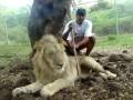 videos de MOV00786
