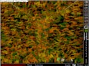 Torture Game 3 Camoflage Torture Game 3 Camoflage
