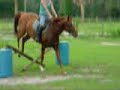 Goldmoon Video 2 Goldmoon Video 2