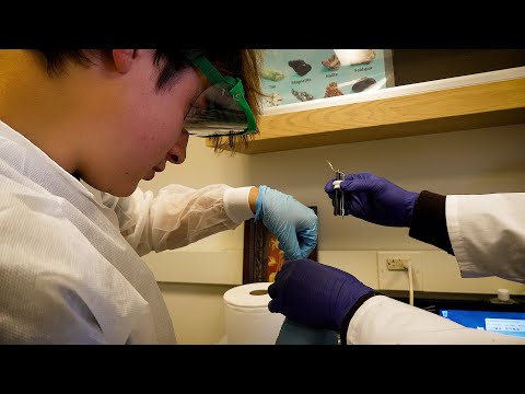 Video thumbnail: Heavy metal learning