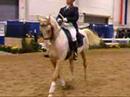 Gen Custer at the Royal Winter Fair 2007