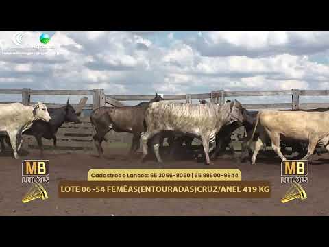 520� LEIL�O VIRTUAL MB LEIL�ES