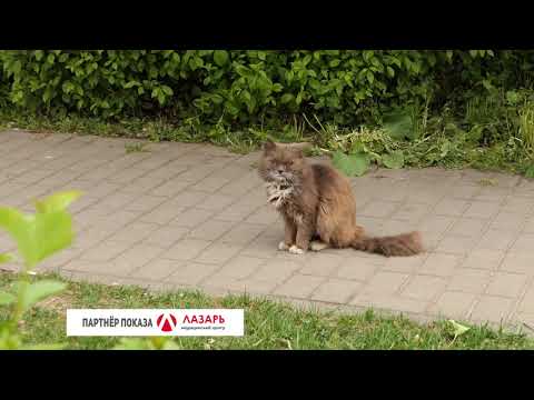 Барановичи день за днем. 14.05.20.