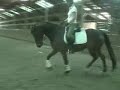 Jake walk, trot and canter