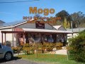 Mogo Pictorial.