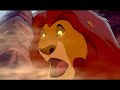 Misirlou Lion King Stampede