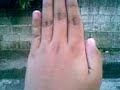 pido magic 2
