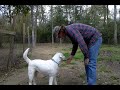 Pete and sqeak. video-2010-03-21-12-17-00