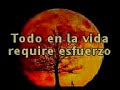 hector molina